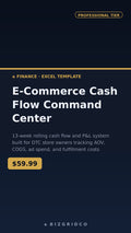 E-Commerce Cash Flow Tracker Spreadsheet | DTC P&L Dashboard | Shopify Amazon Multi-Channel Finance