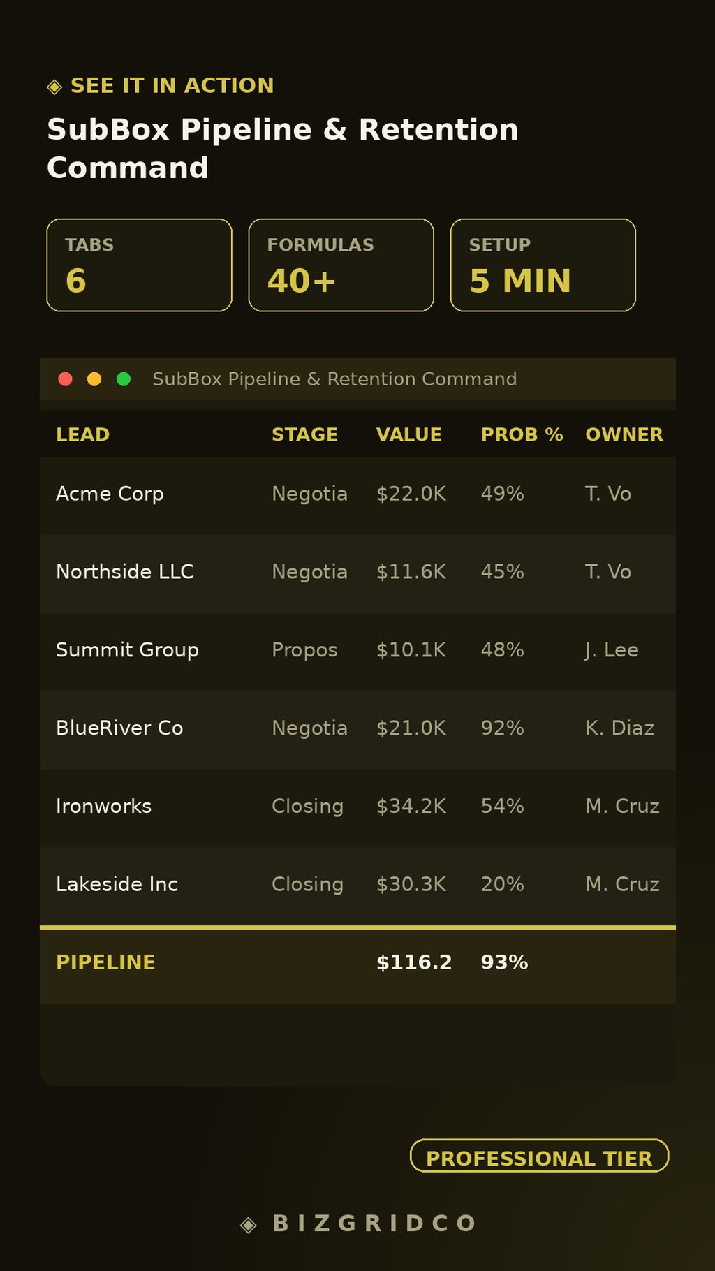 Subscription Box Retention System | Churn Tracker LTV Cohort Analysis CAC Dashboard Subscriber Pipeline