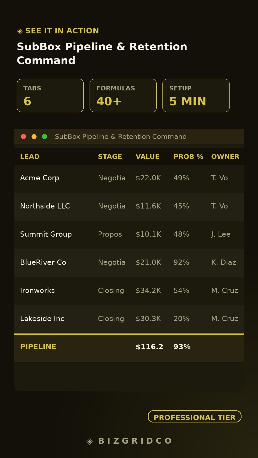 Subscription Box Retention System | Churn Tracker LTV Cohort Analysis CAC Dashboard Subscriber Pipeline