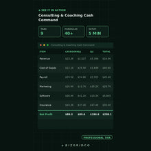 Consulting Business Finance Tracker | P&L, Retainer Pipeline and Cash Runway Spreadsheet for Coaches - BizGridCo.