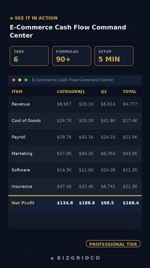E-Commerce Cash Flow Tracker Spreadsheet | DTC P&L Dashboard | Shopify Amazon Multi-Channel Finance - BizGridCo.