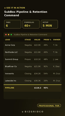 Subscription Box Retention System | Churn Tracker LTV Cohort Analysis CAC Dashboard Subscriber Pipeline - BizGridCo.